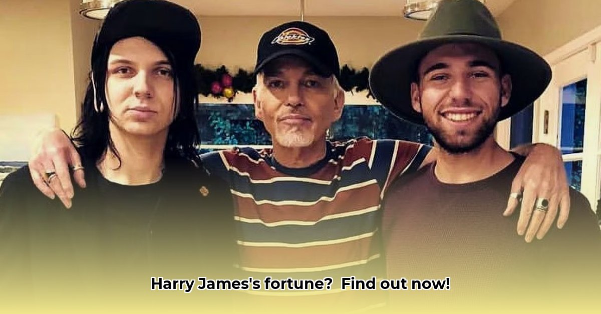 harry-james-net-worth